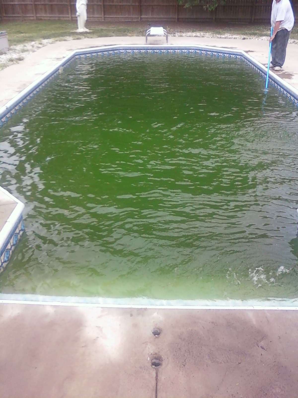 Swimming pool completely overtaken by green algae while a worker brushes the waterline with a telescopic pole